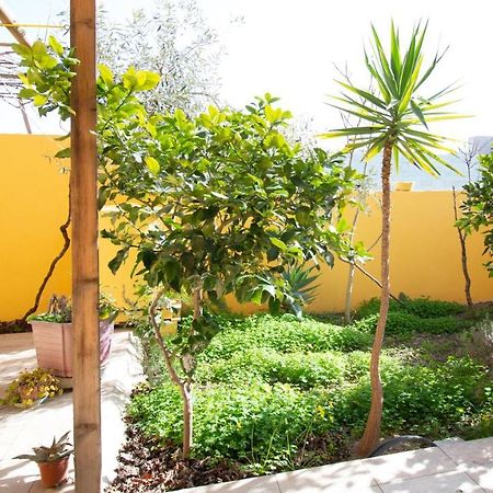 Yellow House-Villetta Con Giardino 奥里斯塔诺 外观 照片